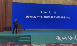 贵州茶产业高质量发展的《栗香方案》之栗香行动